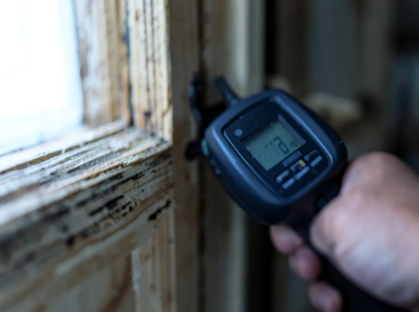 Moisture Inspection And Documentation in Shonto, AZ